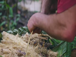 原始求生記：逃出亞馬遜第一季