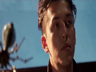 硅基時(shí)代