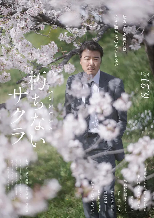 永不腐朽的櫻花