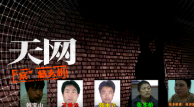 天網(wǎng)：“案”藏玄機