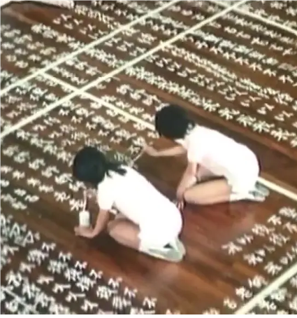 學霸小姐的秘密任務