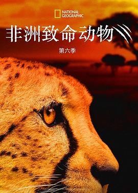 非洲致命動物第六季