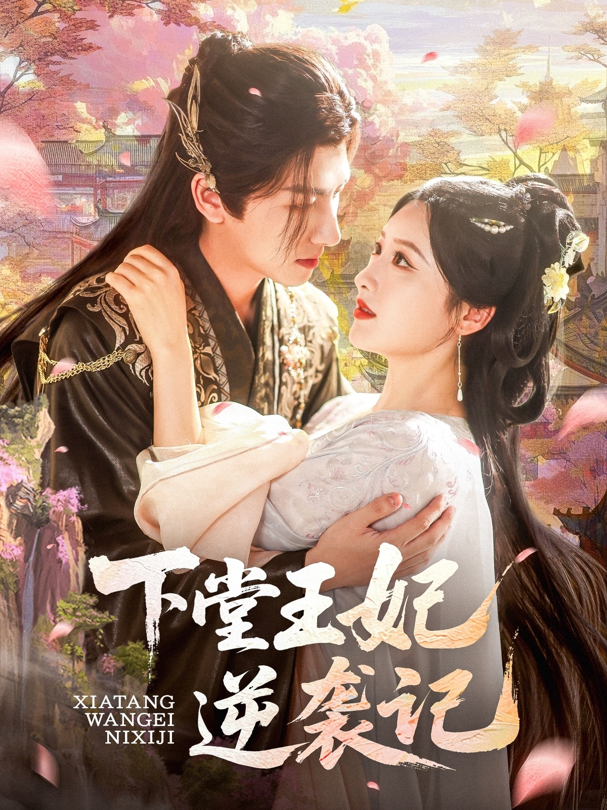 下堂王妃逆襲記
